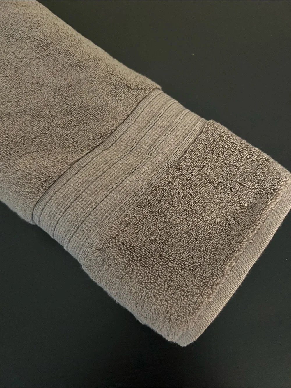 NWOT Pottery Barn hydrocotton quick dry hand towel